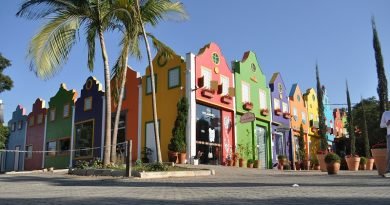 Holambra dá as boas-vindas à Primavera na Expoflora Holambra dá as boas-vindas à Primavera na Expoflora
